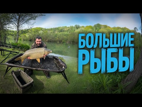Видео: РЫБАЛКА СОЧИ | КРУПНЫЙ УЛОВ