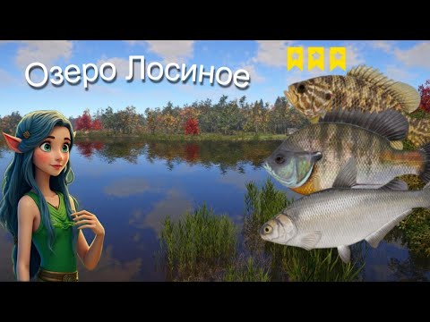 Видео: Озеро Лосиное. Ловля на поплавок. Закрытие трофеев.