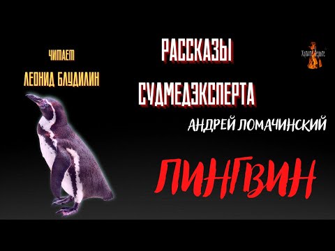Видео: Рассказы Судмедэксперта: ПИНГВИН (автор: Андрей Ломачинский).