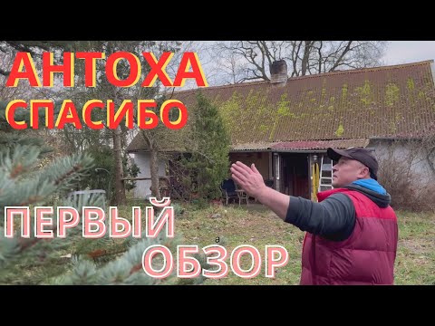 Видео: КУПИЛ ХУТОР НА БОЛОТЕ *СПАСИБО АНТОХА* ЧАСТЬ 1