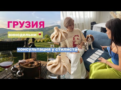 Видео: VLOG / Грузинские винодельни, сессия со стилистом, шоппинг