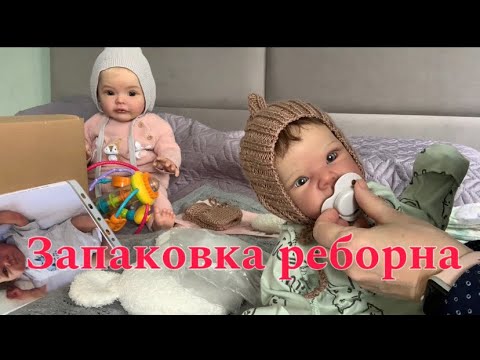 Видео: 28 мая 2025 г.