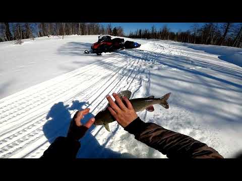 Видео: Любимая река#Любимая рыбалка#Трофейный хариус.Часть вторая.