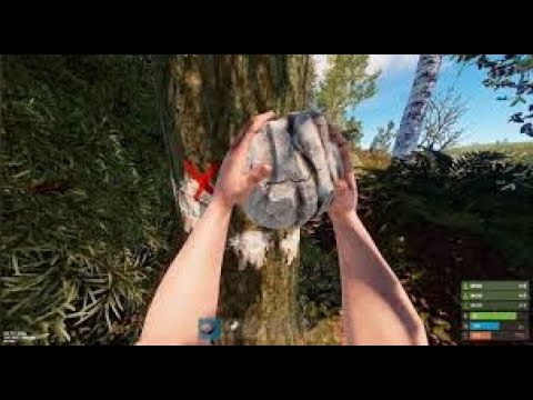 Видео: Rust\ Бомже игра на экранах