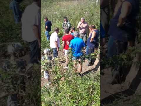 Видео: Бухая деревня🤣