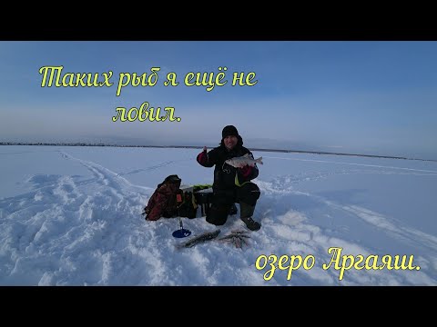 Видео: Рыбалка на озере АРГАЯШ.Пробная рыбалка в феврале 2022 года.