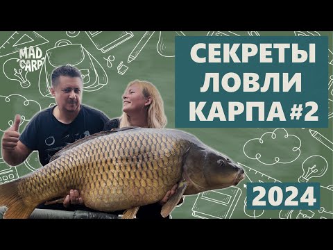 Видео: Секреты ловли карпа 2024. Семинар С. и О. Воеводиных в г. Шымкенте. Часть 2.