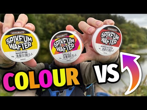 Видео: Sonubaits Spike'um Wafter Colour VS !! Какой цвет позволит поймать БОЛЬШЕ рыбы??