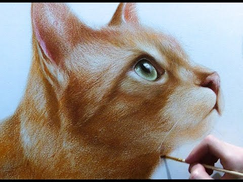 Видео: Мастер-класс по сухой кисти "Рыжий кот" часть 2