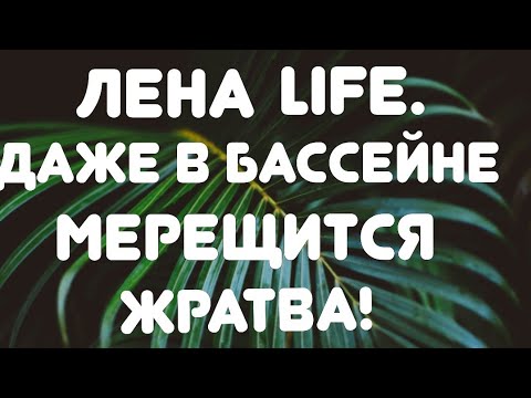 Видео: Лена LIFE // Даже в бассейне мерещится жратва! //Обзор видео//