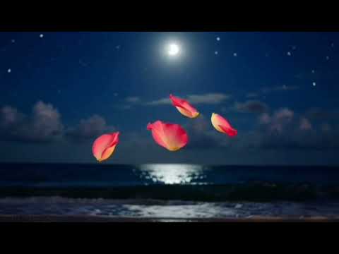 Видео: Музыка для очищения сознания, пространства, для наполнения сердца радостью.."Дыхание просторов".