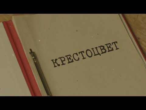 Видео: Крестоцвет | Вещдок. Особый случай. По ту сторону фронта