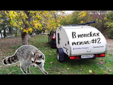 Видео: Попали в окружение к Енотам на Чёрном море. Горячий Ключ, Лермотово и парк Лога в Ростовской области