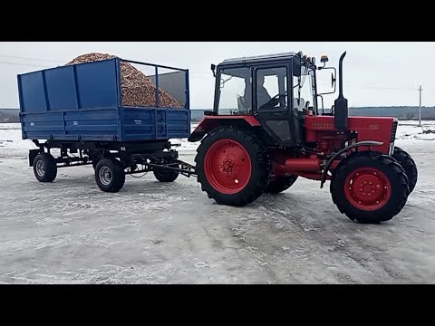 Видео: Трактор МТЗ 82.1  работа с прицепом Перевозка, разгрузка щепы