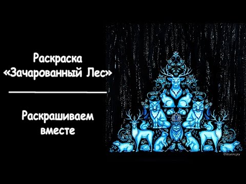 Видео: "ЗАЧАРОВАННЫЙ ЛЕС" /РАСКРАШИВАЕМ ВМЕСТЕ