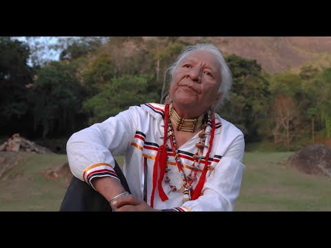 Видео: Взгляды коренных американцев на исцеление. Вернон Фостер