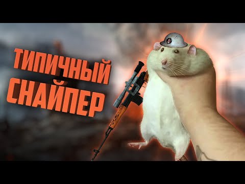 Видео: Типичный снайпер | Battlefield 1/Apex Legends/Call of Duty Warzone