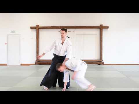 Видео: Айкидо для новичков! Разбор техник: ай ханми кататэ дори - ирими нагэ | ai hanmi katate dori - irimi