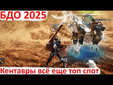 Видео: Black Desert 2025 - Что нового в БДО / Лучший спот в 2025