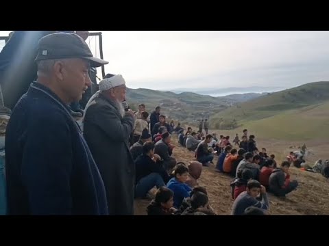 Видео: Бузкаши дехаи узнохур рузи 17 11 2024 соиби марака Гунгов Давлатали Кисми 1