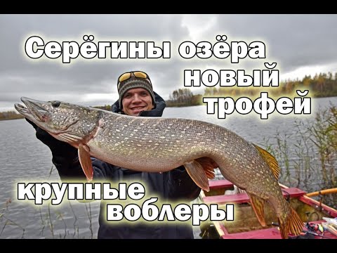 Видео: Лодочный трофей поздней осени
