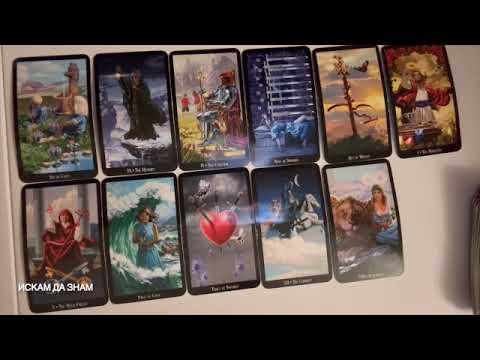 Видео: Осъзнавате, разбирате, прераждате се #tarot #таро #fortunetelling #тарогадание #картитаро