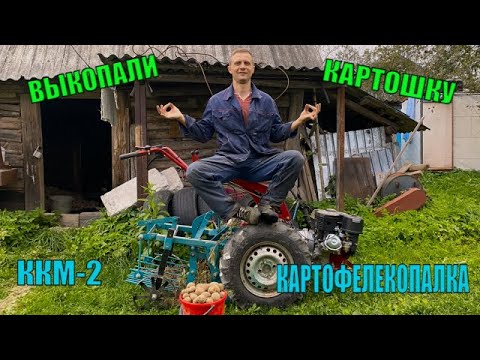 Видео: МТЗ Беларус мотоблок. Выкопали картошку. Деревенские будни. Из города в деревню.