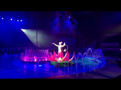 Видео: 24 февраля 2019 г. Цирк на воде Новосибирск