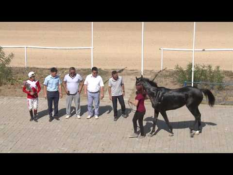 Видео: Приз им. Буденного С. М.