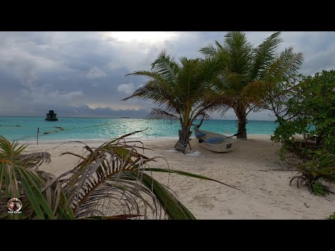 Видео: Летим на Мальдивы, Meeru Maldives Resort Island 2025 #мальдивы #мальдивы2025 #maldives #maldives2025