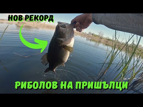 Видео: Риболов на BASS с Проходилка