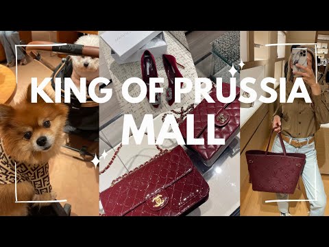 Видео: ТОРГОВЫЙ ЦЕНТР KING OF PRUSSIA | HERMÈS, CHANEL, LV, NEIMAN MARCUS, DIOR 🛍 ✨