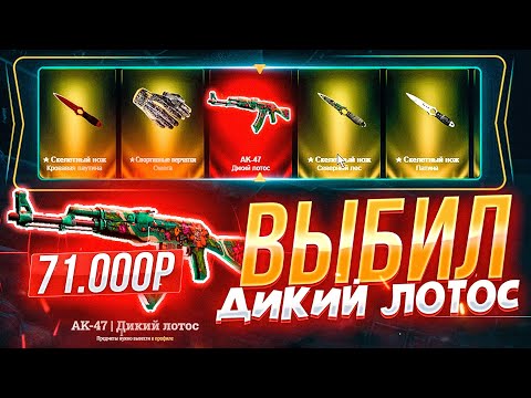 Видео: Я ВЫБИЛ АК-47 ДИКИЙ ЛОТОС ЗА 71 000 РУБЛЕЙ! ИЗИДРОП СПАСИБО, ЧТО ОТДАЁШЬ СЛИТОЕ!