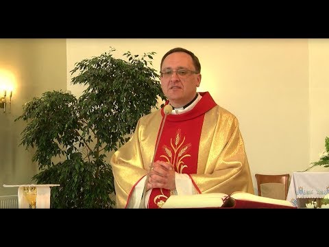 Видео: Святая месса 26.05.2019