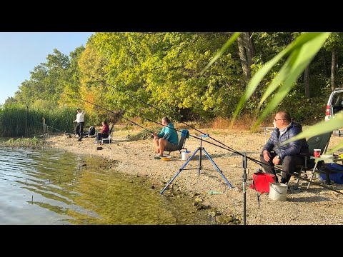 Видео: 🐠🐟 ОСЕННЯЯ РЫБАЛКА с НОЧЕВКОЙ в ЧЕРНОМ ЛЕСУ / ФИДЕР / КУХНЯ на КОСТРЕ / УХА / ПЕЧЕНЕГИ / 2 ЧАСТЬ🐠🐟