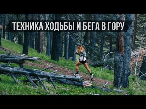 Видео: Все о технике ходьбы/бега в гору. БОНУС - показываем на беговой дорожке KETTLER, как подготовиться.