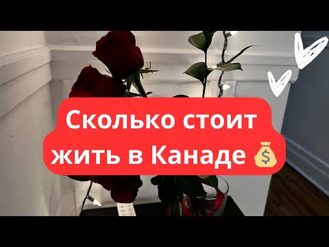 Видео: 🇨🇦Сколько стоит жить в Канаде 💰