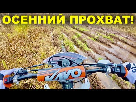 Видео: Осенний ПРОХВАТ на ЭНДУРО по ЛЕСУ! Kayo K1 150 кубов