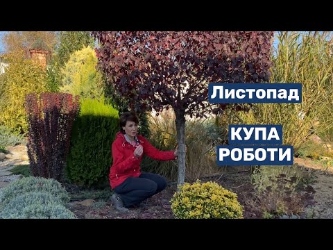Видео: Ноябрь на дворе, а у меня куча работы в саду.