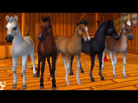 Видео: ЗВЕЗДНЫЕ ЛОШАДИ #1 Ночная звезда в Star Stable Horses! Симулятор маленькой лошадки на пурумчата