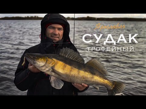 Видео: Ловля судака на джиг. Дмитрий Зюзин. Рыбалка на Волге, Рыбинское водохранилище.