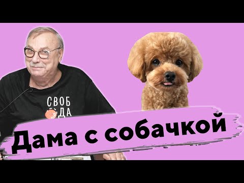 Видео: ДАМА С СОБАЧКОЙ / №369