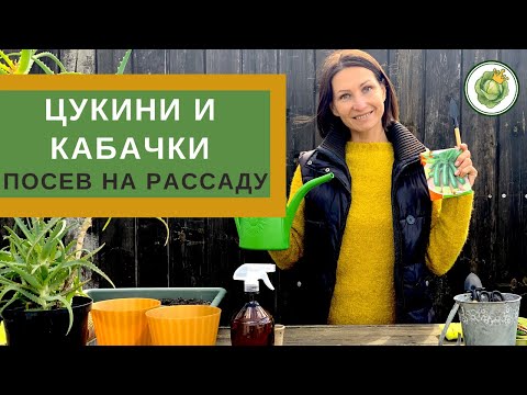 Видео: ЦУКИНИ И КАБАЧКИ - выбор сорта и посев на рассаду