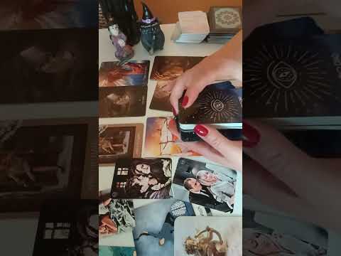 Видео: Какво се случва между него и съперницата