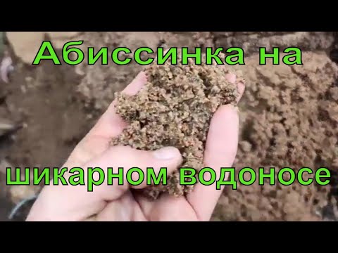 Видео: Гидробурение абиссинской скважины МГБУ Ленинградская область.