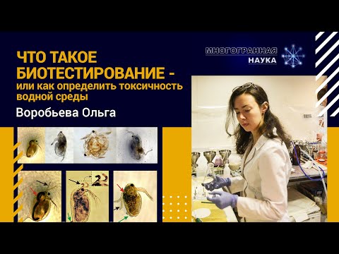 Видео: «Что такое биотестирование - или как определить токсичность водной среды». Воробьева Ольга