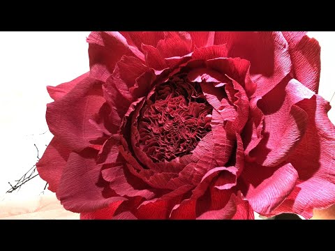 Видео: Ростовой цветок из гофрированной бумаги. A large flower made of crepe paper.