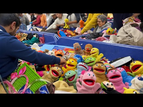 Видео: Я понятия не имел, что они такие ценные! Я схватил два, прежде чем они исчезли!