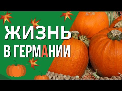 Видео: Немецкая деревня. Как живут немцы в селе. Не туристическая Германия. Осенняя Германия. Сезон тыквы