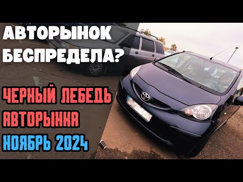 Видео: Авторинок свавілля ? Чорний лебідь Листопад 2024